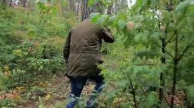 Bir adam bir başlıklı Ormanda yürür, bir adam ormanda kaybolur