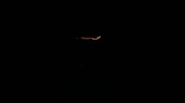 Ampul yanıp siyah bir arka plan, akkor ışık nabız, dimmer karşı