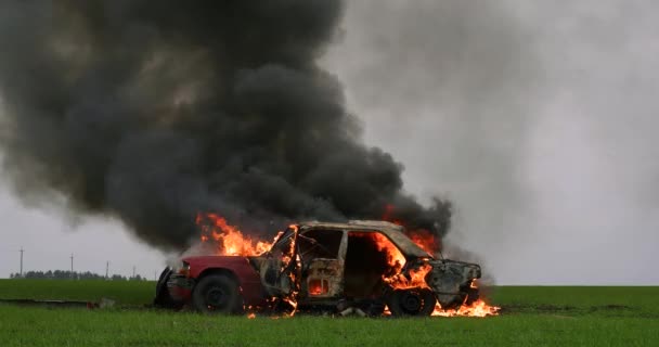 Mobil terbakar, mobil terbakar Sedan di lapangan, side view — Stok Video