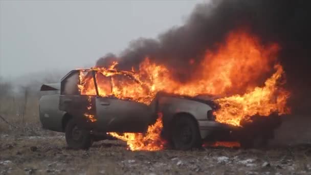 Auto in brand, auto branden In het veld — Stockvideo