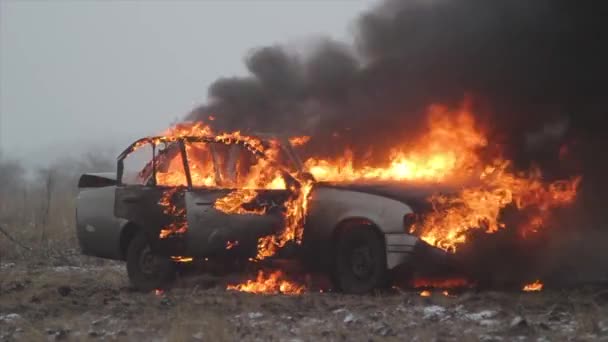 Auto in Flammen, brennendes Auto auf Feld — Stockvideo