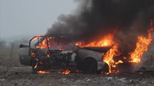 Auto v plamenech, hořící auto v poli — Stock video