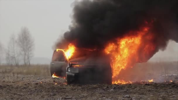 Автомобіль горить, палаючий автомобіль в поле, передня зору — стокове відео