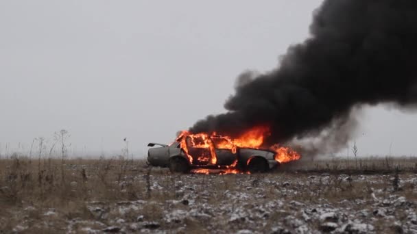 Car On Fire, Burning Car In The Field, Side View — Stock Video