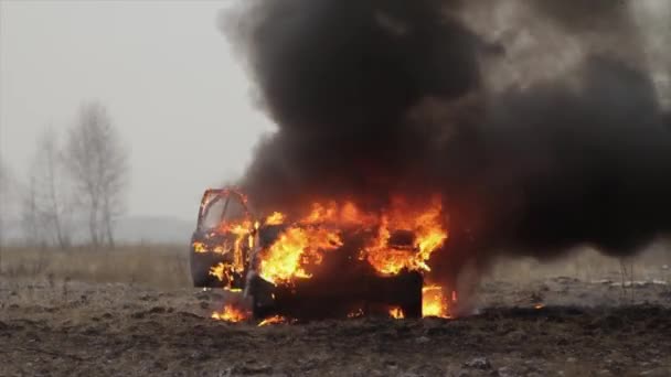 Auto in Flammen, brennendes Auto im Feld, Frontansicht — Stockvideo