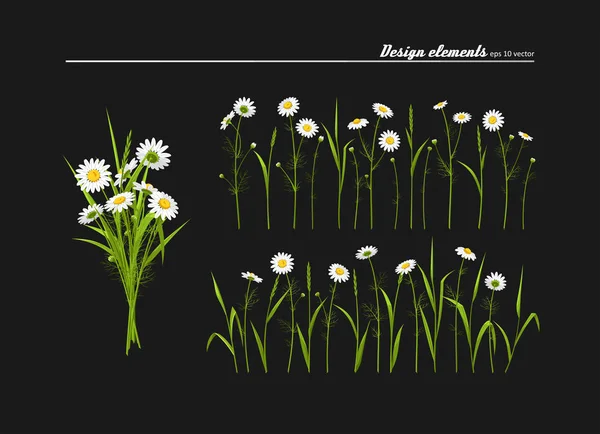 Verzameling Elementen Voor Design Weide Camomiles Groen Gras Een Vector — Stockvector