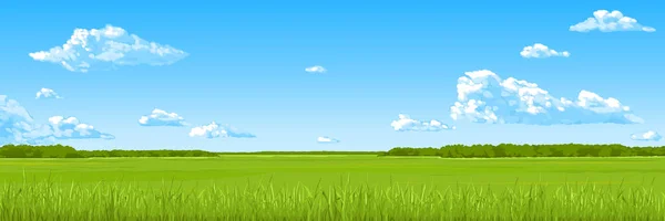Panorama Campo Verano Con Una Hierba Verde Cielo Azul Las — Vector de stock