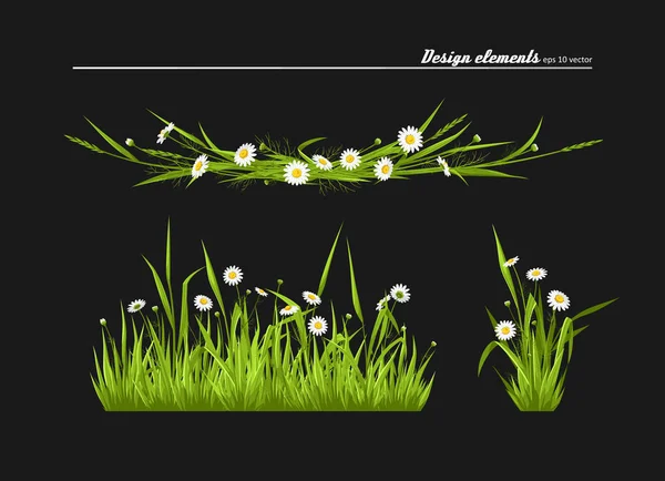 Ensemble Éléments Pour Design Camomilles Prairie Herbe Verte Vecteur — Image vectorielle