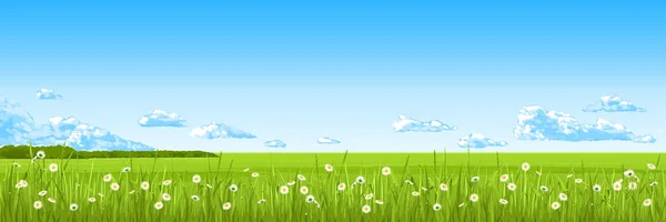 Panoráma Nyári Mezőben Zöld Virágok Kék Felhők Vektoros Rajz — Stock Vector