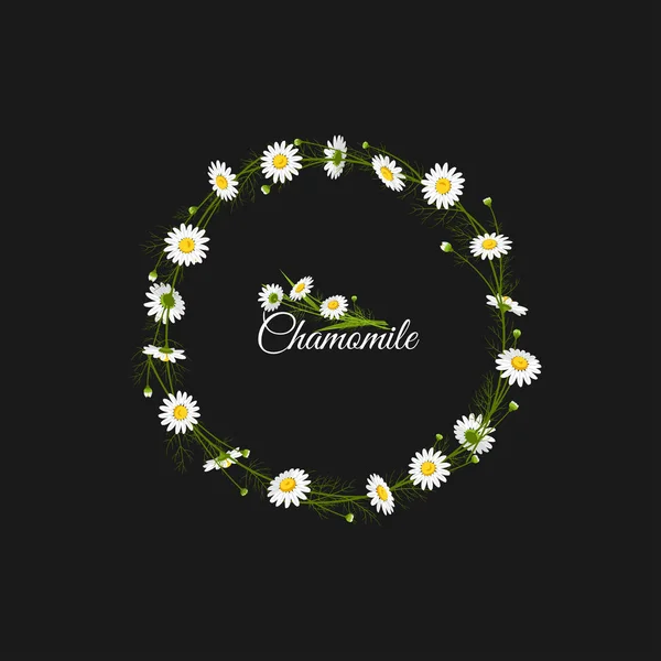 Couronne Herbes Fleurs Camomilles Champ Vecteur — Image vectorielle