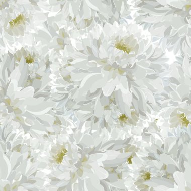 Yaz Beyaz Krizantem ile sorunsuz doku. Bir vektör.