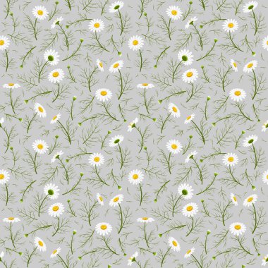 Yaz camomiles ve yaprakları ile sorunsuz doku. Bir vektör.