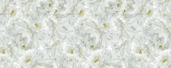 Nahtlose Textur Mit Sommerweißen Chrysanthemen Ein Vektor — Stockvektor