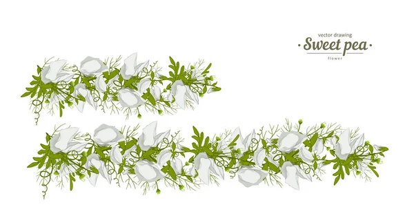 Floral Composities Met Sweet Pea Bladeren Kan Worden Gebruikt Als — Stockvector