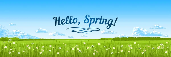 Hello Spring Banner Spring Panorama Blue Sky Clouds Grass Flowers — Stock Vector