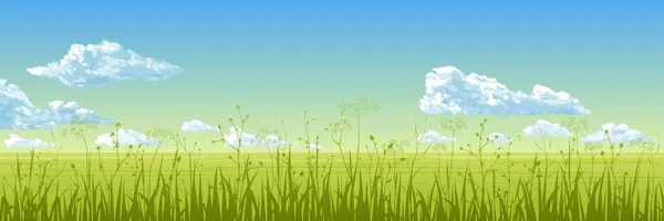 Panorama Summer Field Green Grass Blue Sky Clouds Vector Drawing — Stock Vector