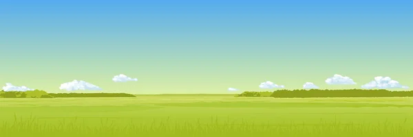 Panorama Summer Field Green Grass Blue Sky Clouds Vector Drawing — Stock Vector