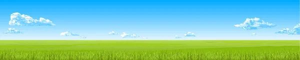 Panorama Das Sommerfeld Mit Grünem Gras Blauem Himmel Wolken Vektorzeichnung — Stockvektor