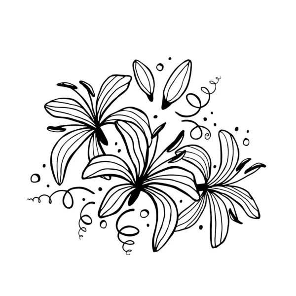 Ensemble de compositions florales . — Image vectorielle
