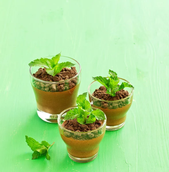 Chocolate Peppermint Mousse Glasses — Stock Photo, Image