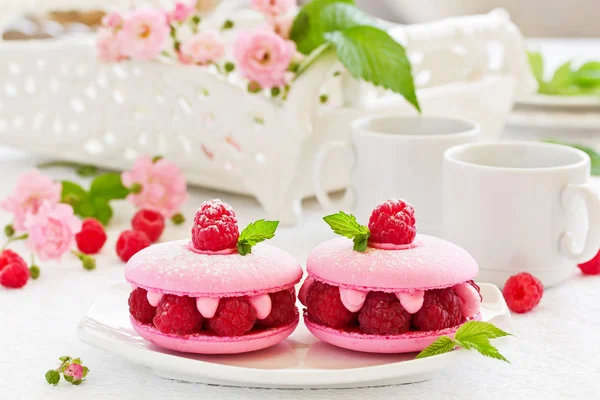 French Makarons Cake Dengan Raspberry — Stok Foto