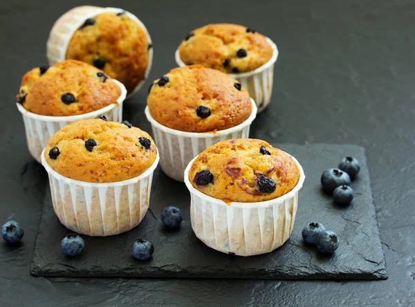 Muffins Avoine Aux Myrtilles Sur Fond Sombre — Photo