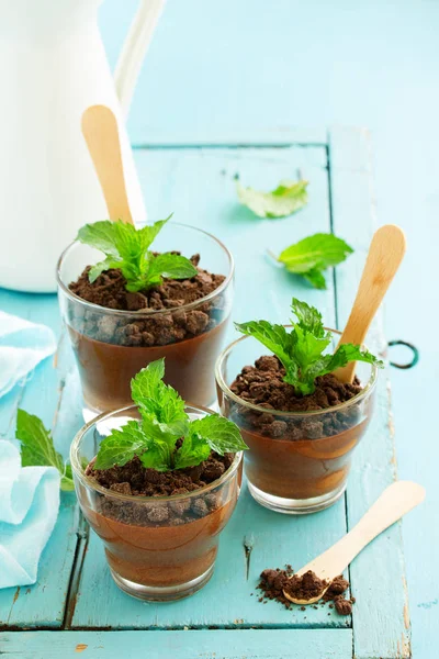 Chocolate Peppermint Mousse Glasses — Stock Photo, Image