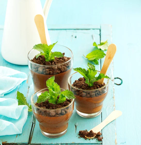 Chocolate Peppermint Mousse Glasses — Stock Photo, Image