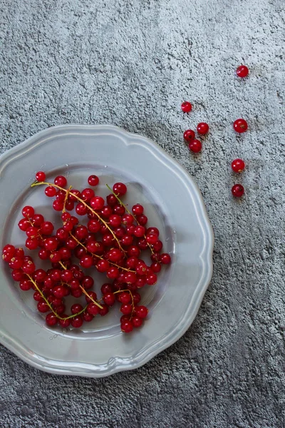 Ягоды Красные Смородины Тарелке Вид Сверху — стоковое фото