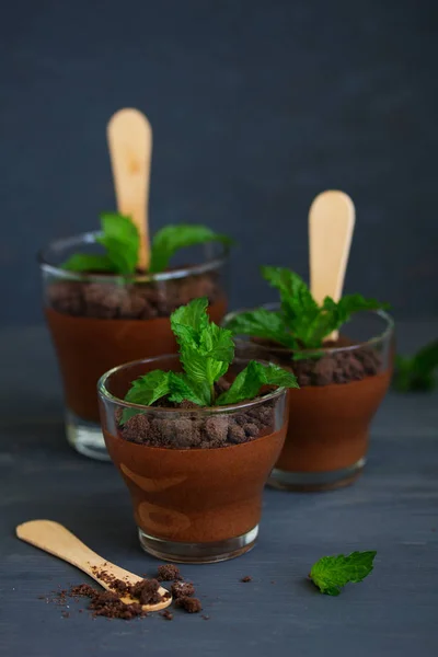 Mousse Menthe Poivrée Chocolat Dans Des Verres — Photo