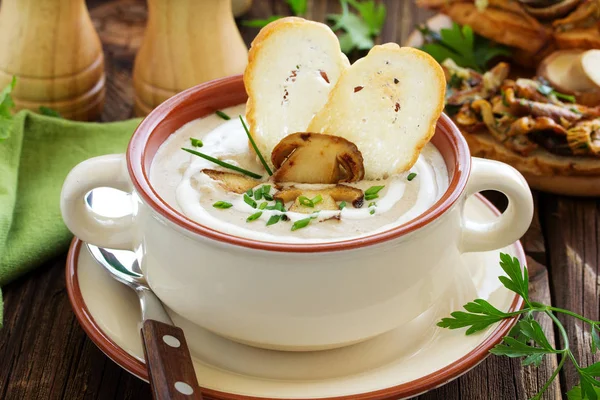 Heerlijke Soeppuree Met Wilde Paddestoelen — Stockfoto