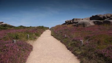 Ploumanach adlı kırmızı granit kayalar. Kıyı şeridi Bretagne, Fransa, pembe taşlar.