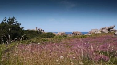Ploumanach adlı kırmızı granit kayalar. Kıyı şeridi Bretagne, Fransa, pembe taşlar