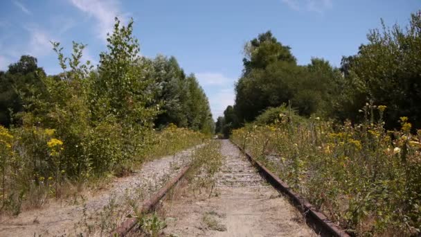 Ferrocarril Abandonado Con Flores Plantas Silvestres Normandía Francia — Vídeo de stock