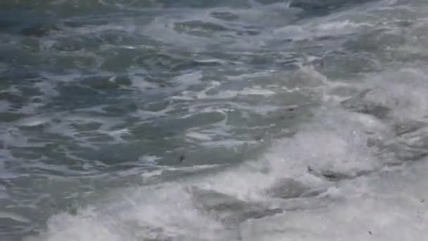 Orilla Del Mar Salvaje Sol Verano — Vídeos de Stock