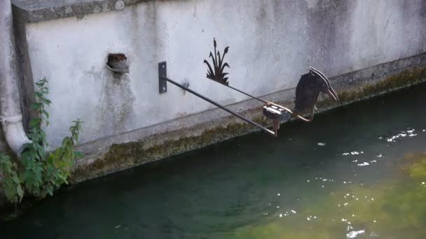 Pequeno Rio Casa Meia Madeira Uma Romântica Aldeia Velha Normandia — Vídeo de Stock