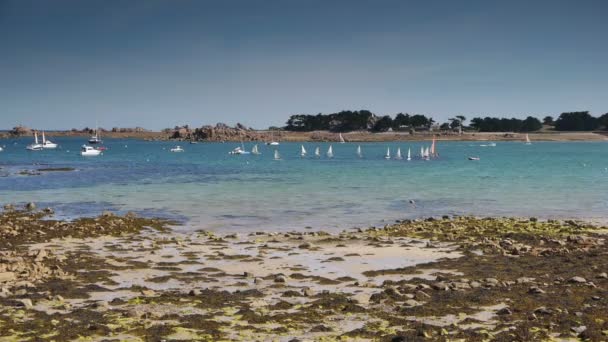 在相思港的帆船 法国布列塔尼海滨 — 图库视频影像