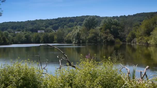 Parque Con Lago Árboles Francia Disparo Realiza Pont Audemer Normandía — Vídeos de Stock