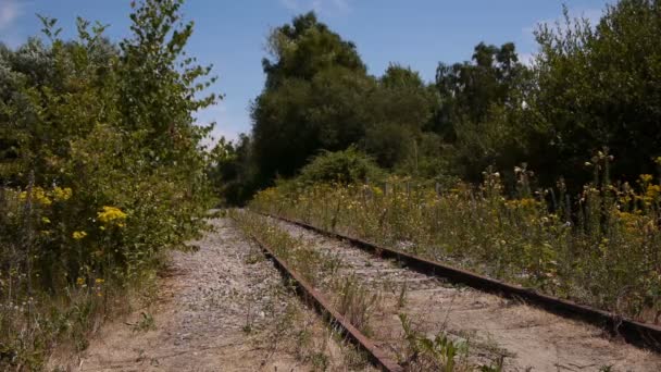 Ferrocarril Abandonado Con Flores Plantas Silvestres Normandía Francia — Vídeo de stock