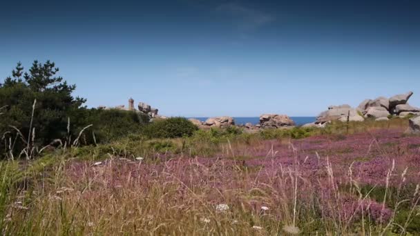 红色花岗岩岩石在 Ploumanach 法国布列塔尼海岸线上的粉红色石头 — 图库视频影像