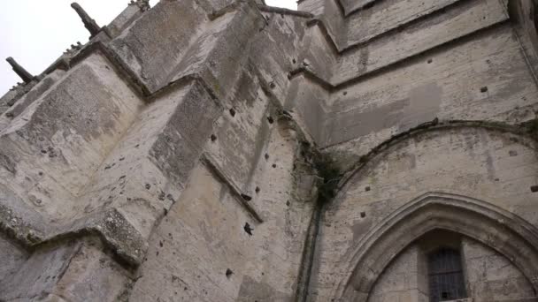 Vliegende Vogels Een Toren Van Een Oude Kerk Pont Eveque — Stockvideo