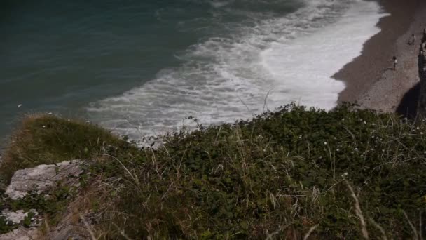 Linia Brzegowa Etretat Turystyczne Plaży Normandii Francji — Wideo stockowe