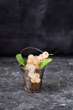 Olgun organik beyaz frenk üzümü küçük metal kova siyah arka plan natürmort kopya alanı yaz hasat çilek