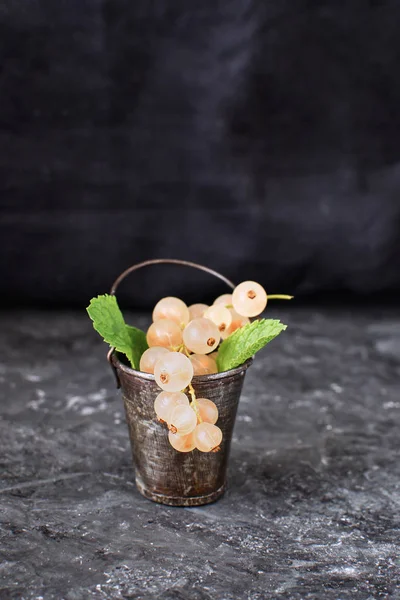Olgun organik beyaz frenk üzümü küçük metal kova siyah arka plan natürmort kopya alanı yaz hasat çilek