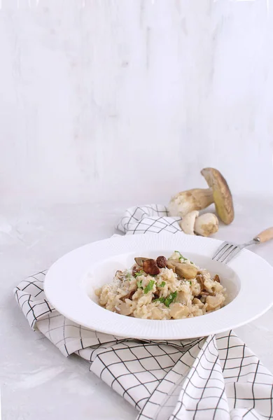 蘑菇烩饭传统意大利 Porcino 米盘白色背景格子餐巾复制空间 — 图库照片