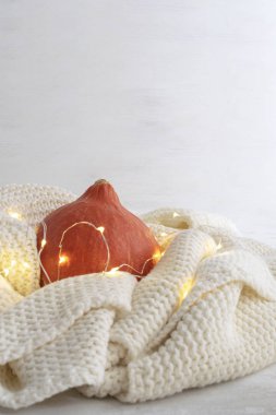 Sonbahar dekorasyon konsepti - örme beyaz ekose kabak. Arka plan beyaz, uzay kopyalayın. Şükran günü.