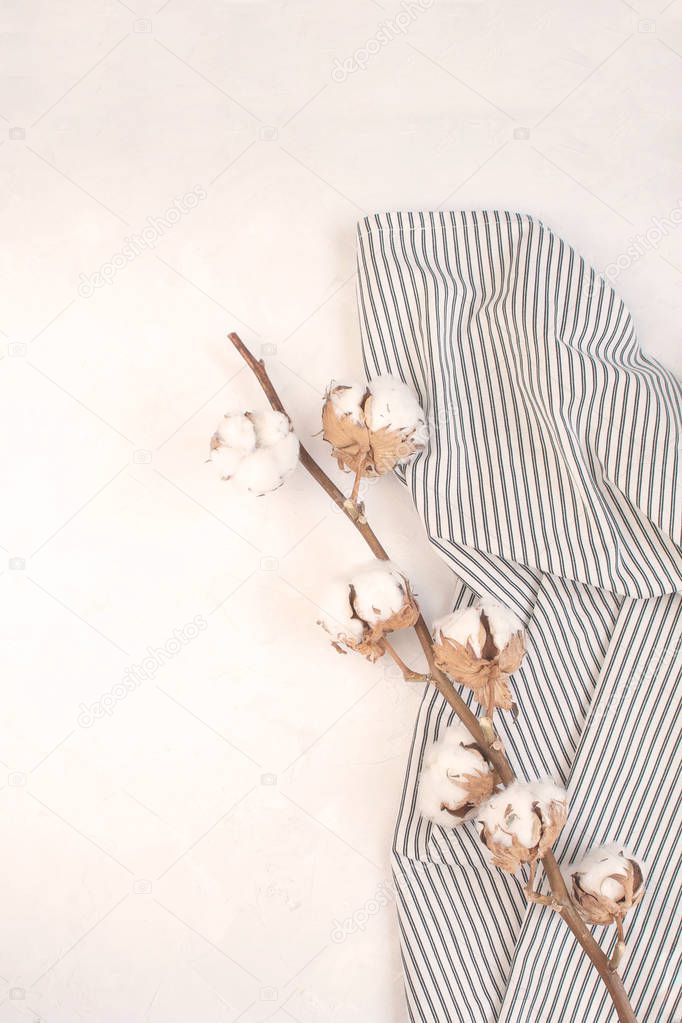 Minimal autumn decor concept - Dried cotton branch on Crumpled Striped Napkin, white background. Simplicity and softness. Top view, copy space. Toned