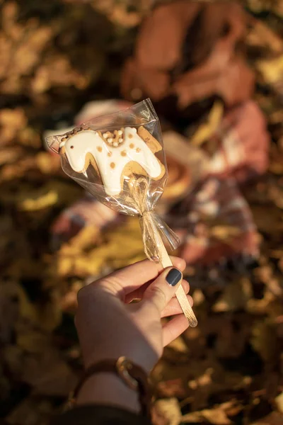背景に葉夢コンセプト 秋のメープルとユニコーンの形でジンジャーブレッド クッキーのクローズ アップ — ストック写真