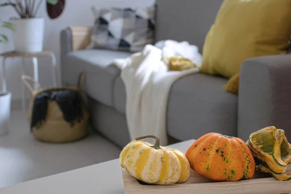 Scandinavian Autumn Inspired Home Decor Closeup Wooden Tray Pumpkins Cozy — Stock Photo, Image