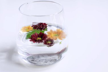 Spa salon dekorasyon, aromaterapi - anneler çiçekler şeffaf bardak su içinde yüzen kopyalama alanı, beyaz arka plan